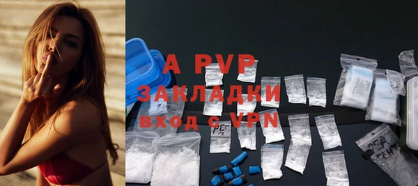 спиды Строитель