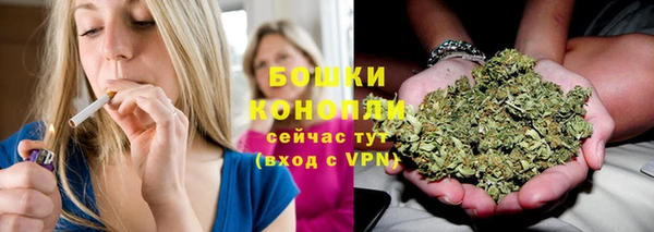 гашик Волосово