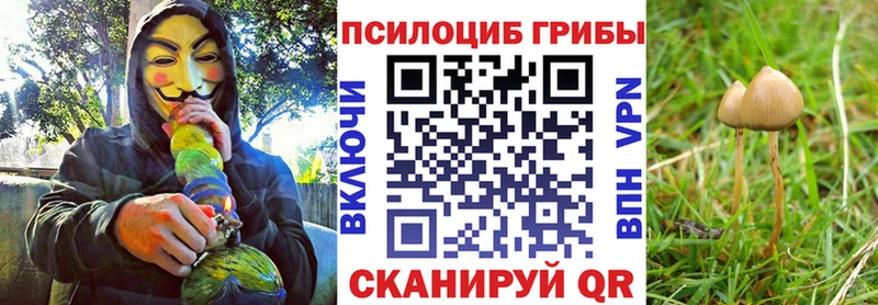 кракен рабочий сайт  Островной  Галлюциногенные грибы ЛСД 